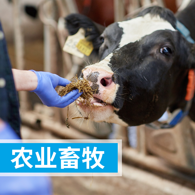 高效液相色譜儀對動物性食品中氟喹諾酮類藥物殘留檢測方法
